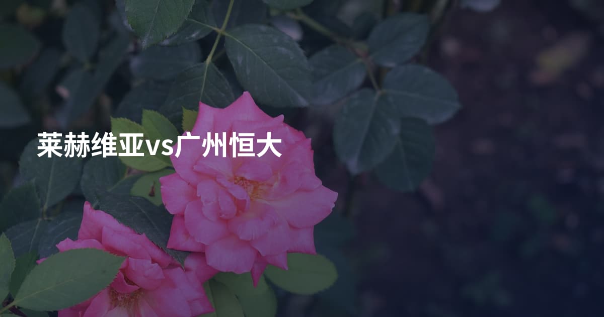 莱赫维亚vs广州恒大