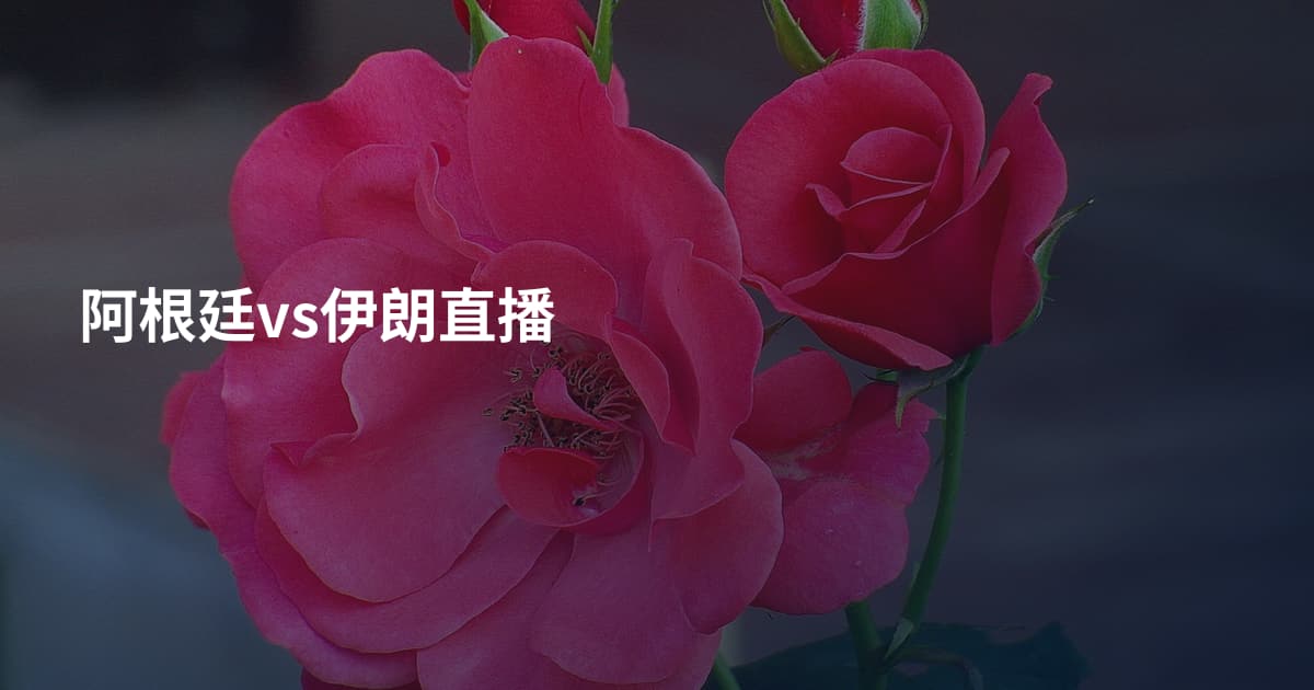 阿根廷vs伊朗直播