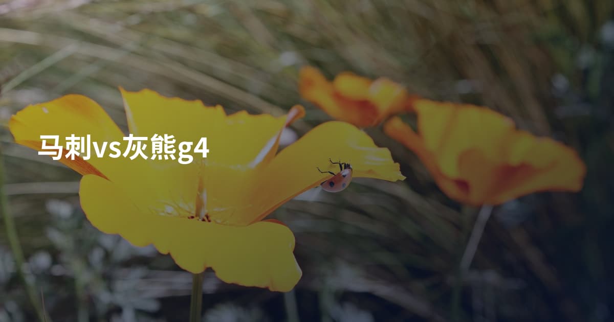 马刺vs灰熊g4