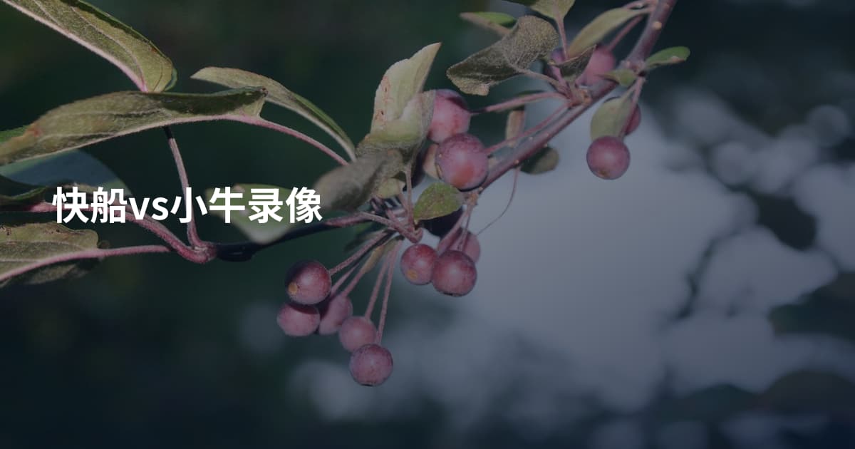 快船vs小牛录像