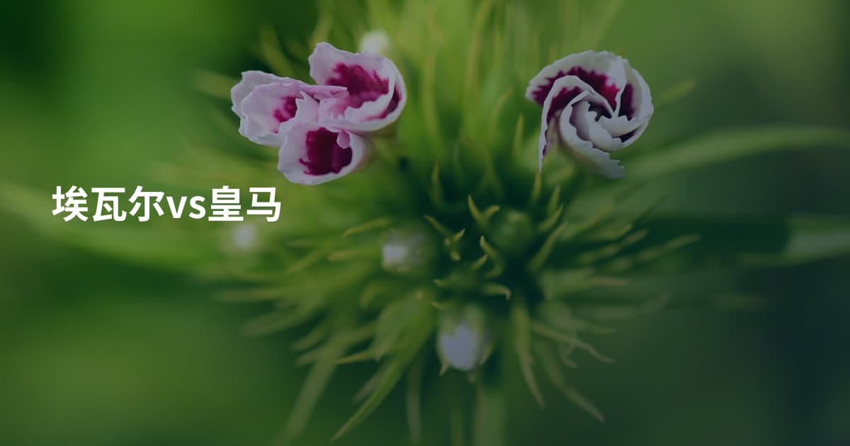 埃瓦尔vs皇马