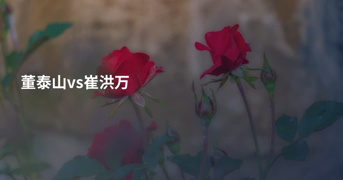董泰山vs崔洪万