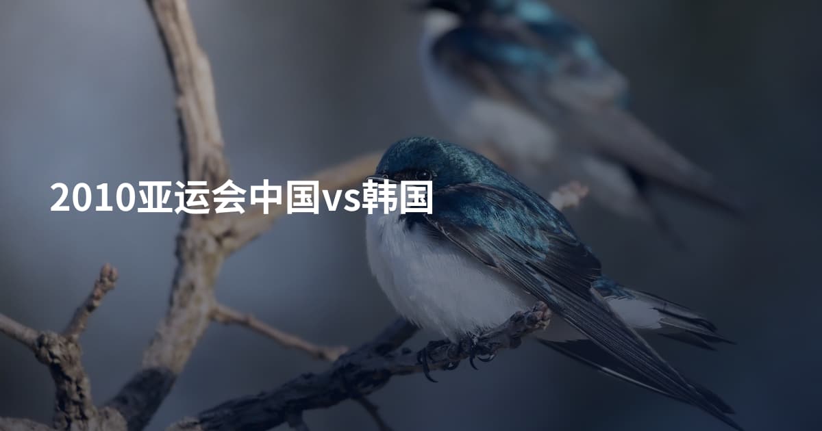 2010亚运会中国vs韩国