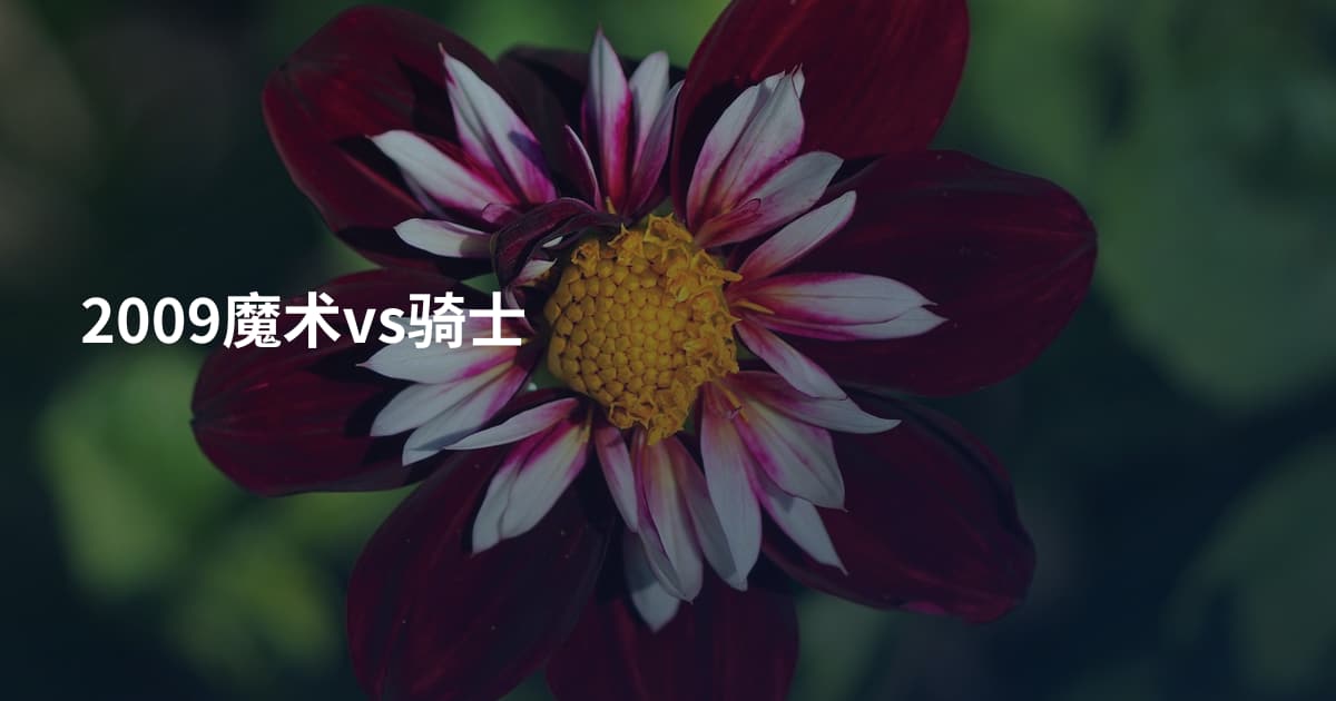 2009魔术vs骑士
