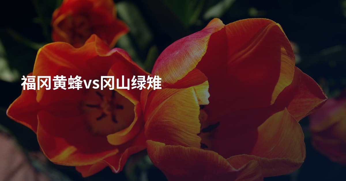 福冈黄蜂vs冈山绿雉