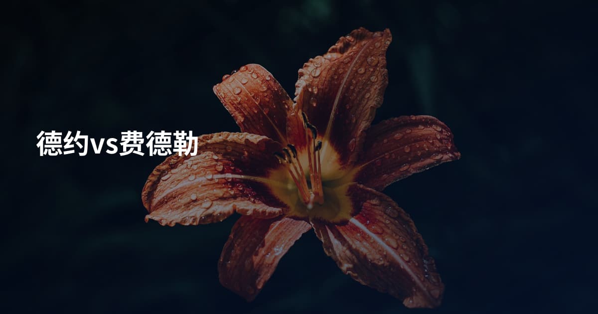 德约vs费德勒
