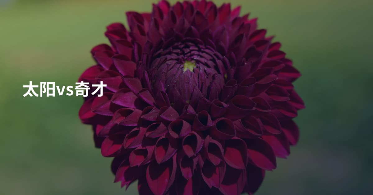 太阳vs奇才