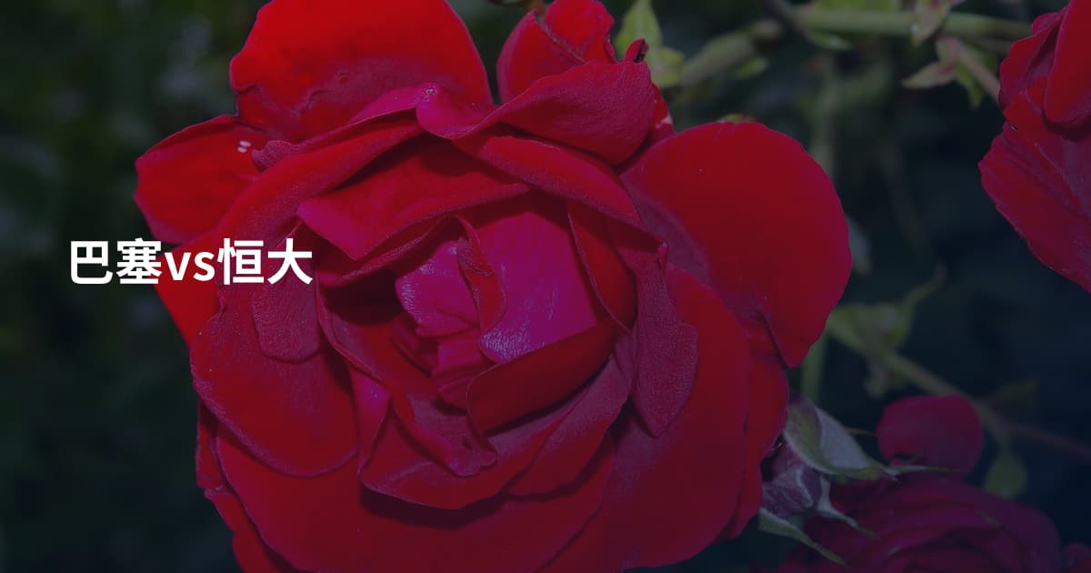 巴塞vs恒大