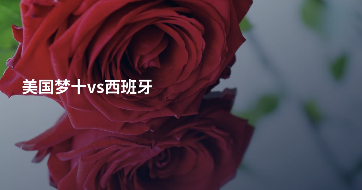 美国梦十vs西班牙