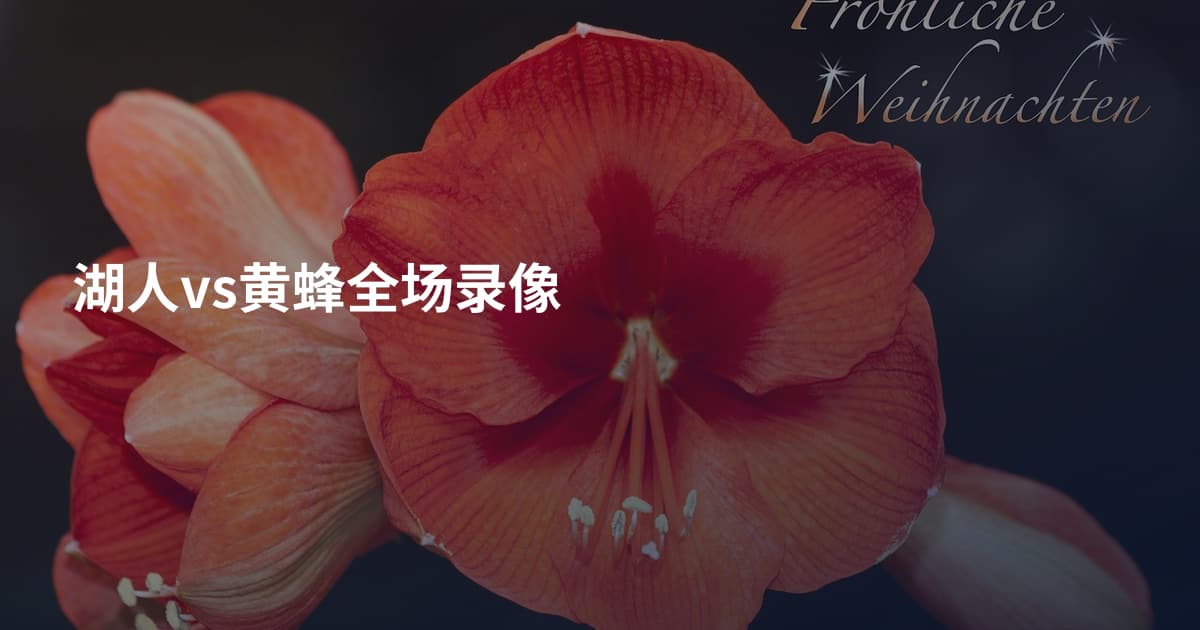 湖人vs黄蜂全场录像