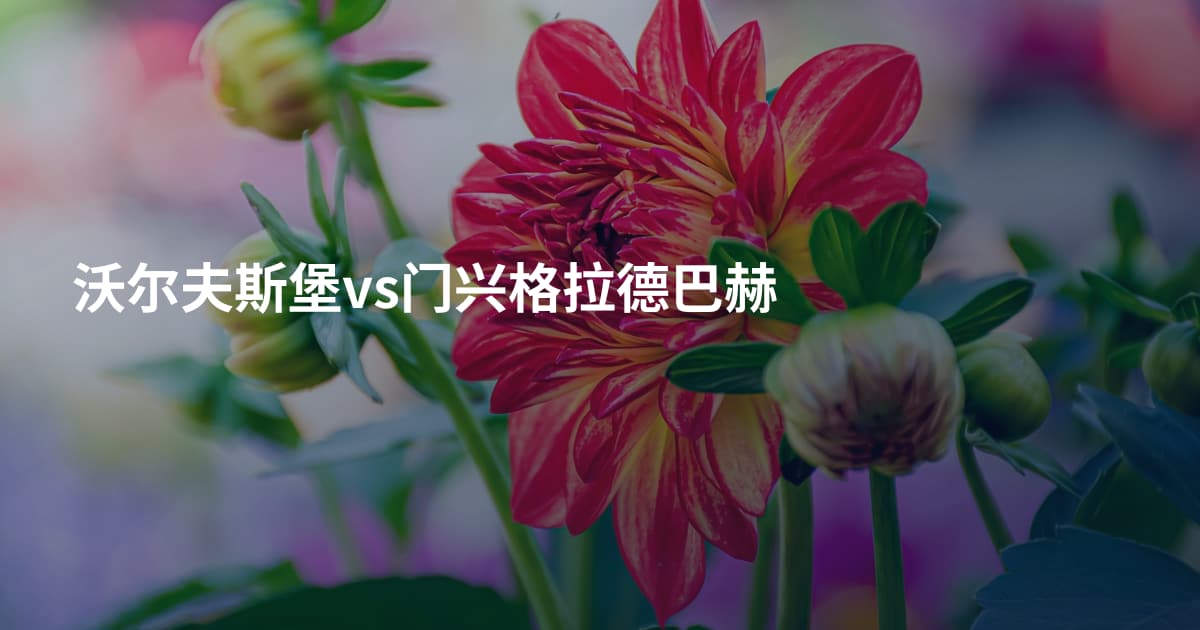 沃尔夫斯堡vs门兴格拉德巴赫