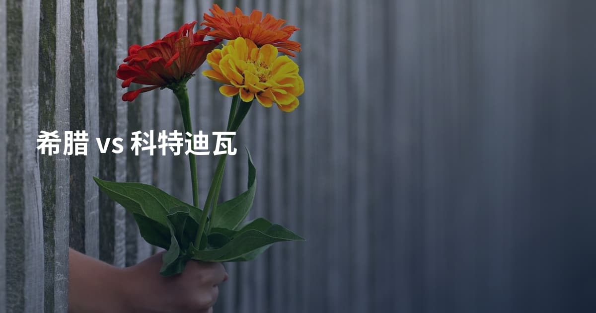 希腊 vs 科特迪瓦
