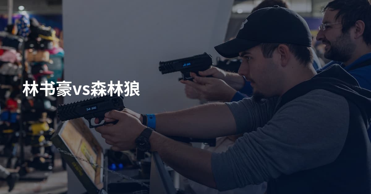 林书豪vs森林狼