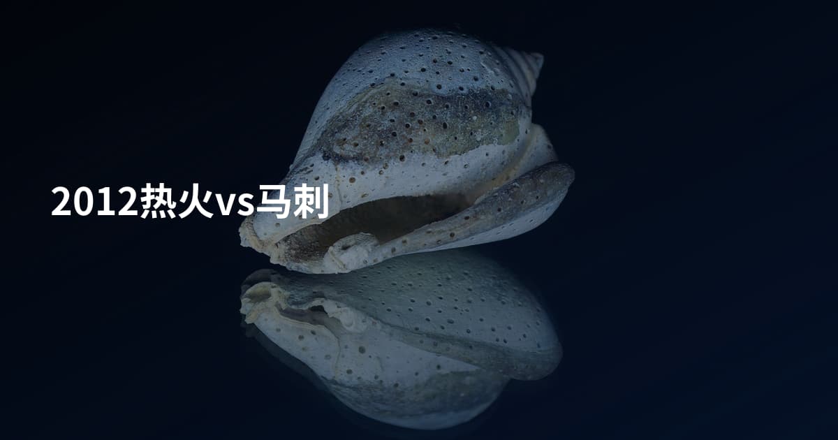 2012热火vs马刺