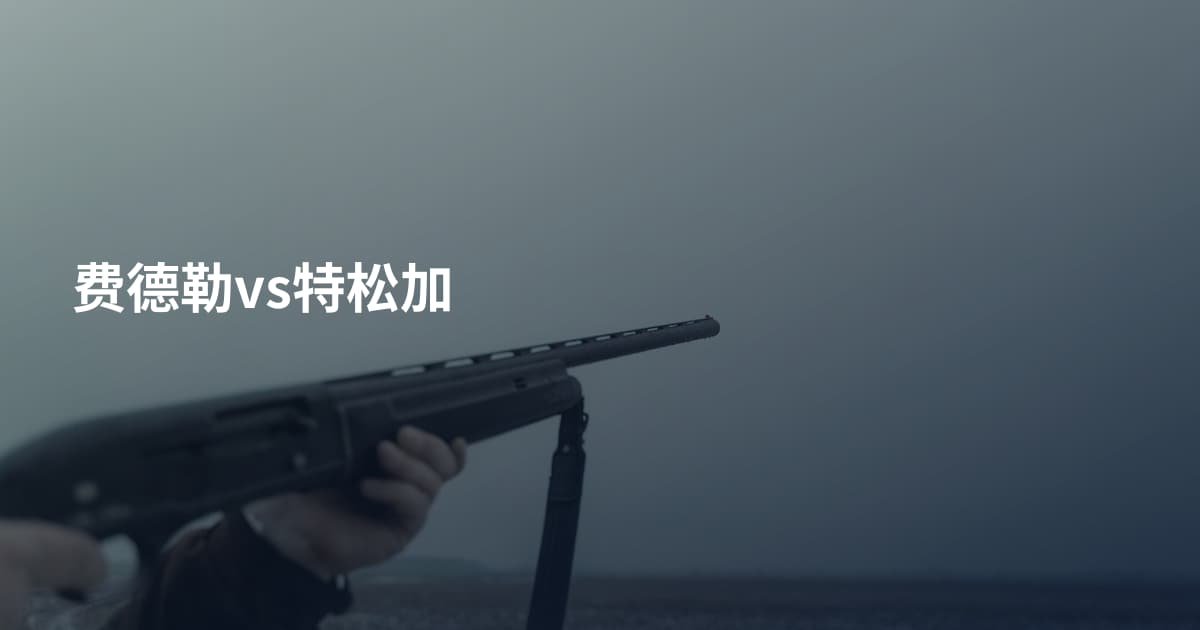 费德勒vs特松加
