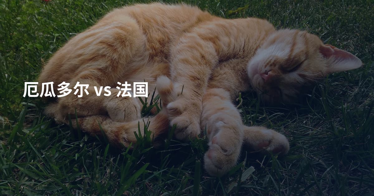 厄瓜多尔 vs 法国