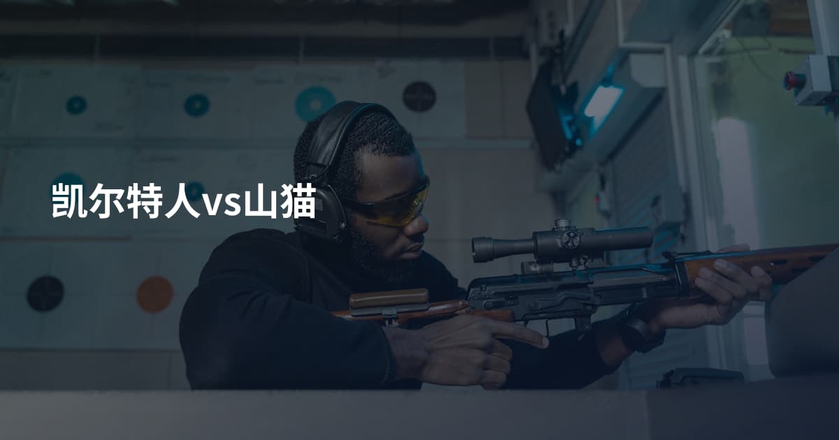 凯尔特人vs山猫