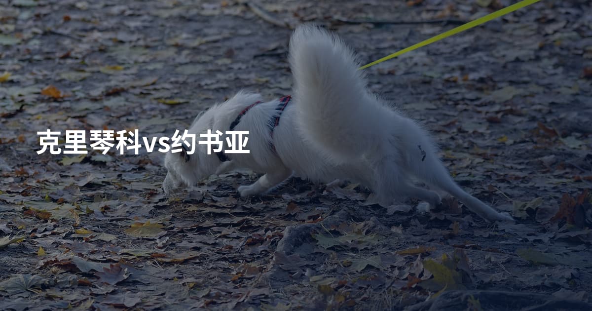 克里琴科vs约书亚