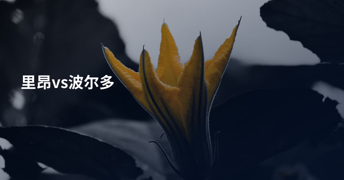 里昂vs波尔多