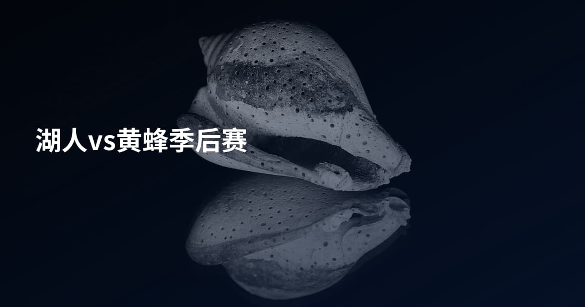 湖人vs黄蜂季后赛