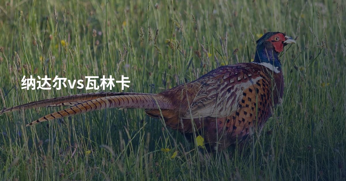 纳达尔vs瓦林卡