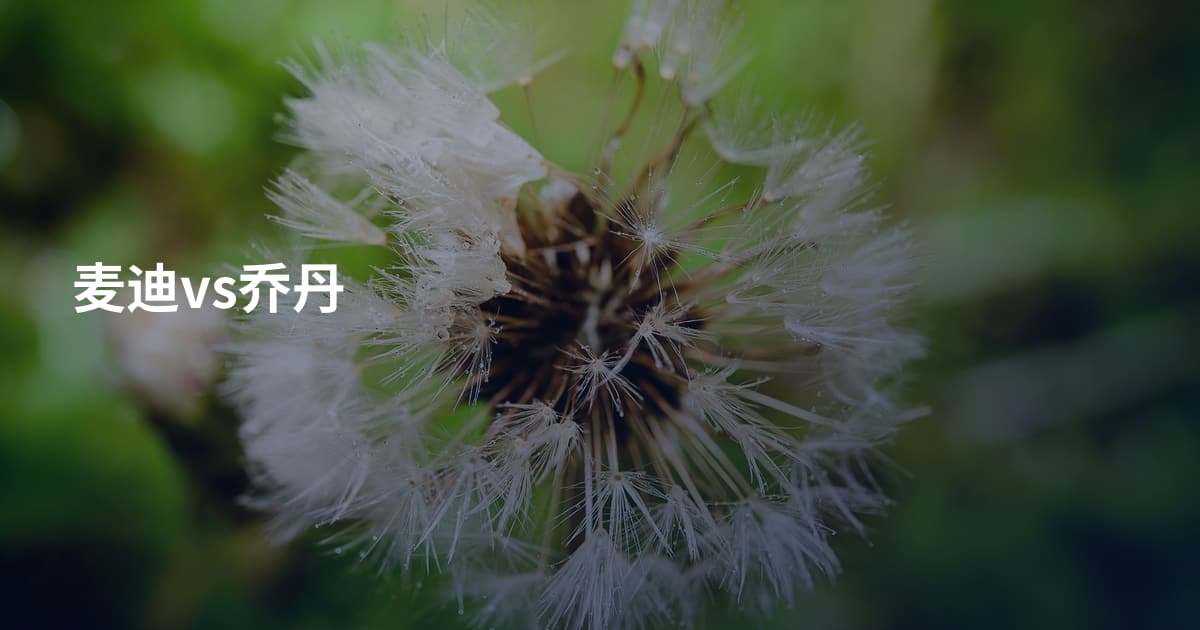 麦迪vs乔丹