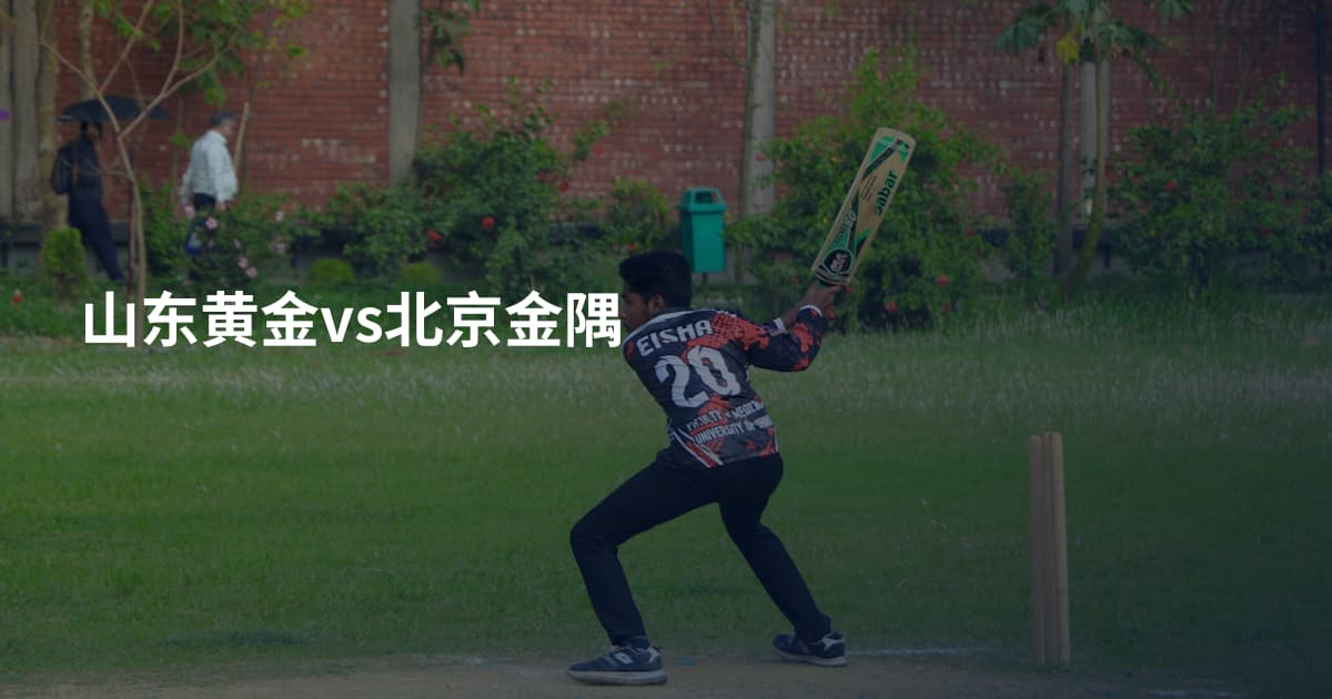 山东黄金vs北京金隅