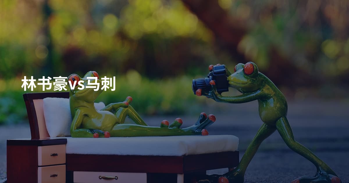 林书豪vs马刺
