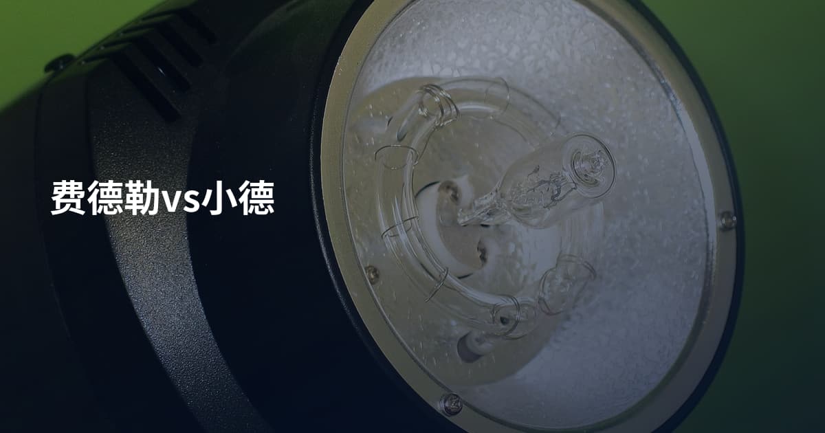 费德勒vs小德