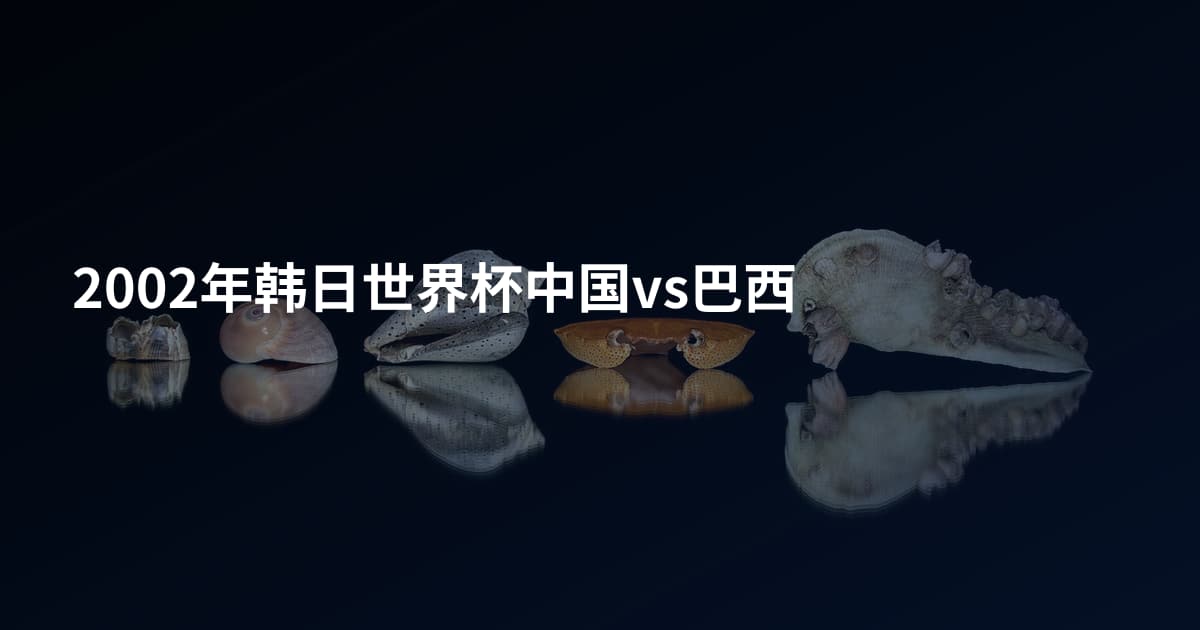 2002年韩日世界杯中国vs巴西