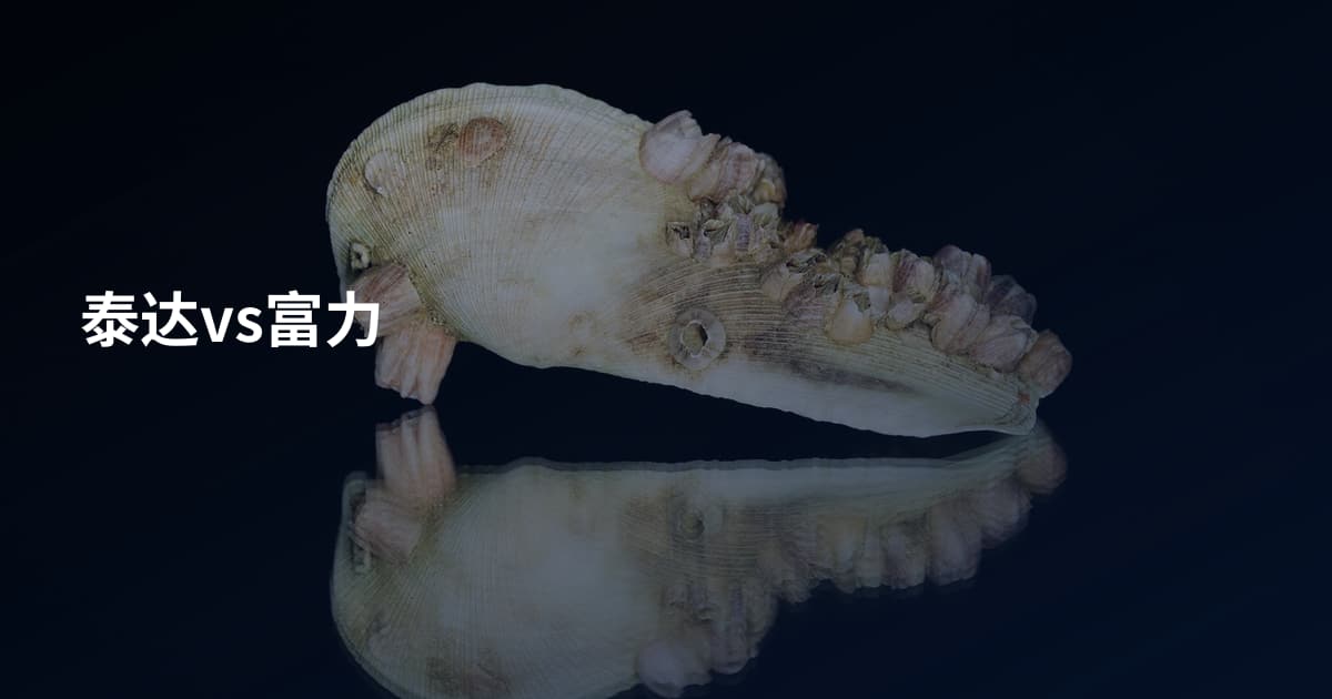 泰达vs富力