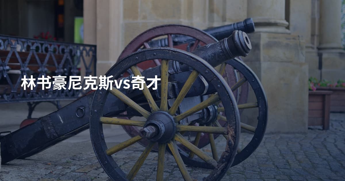 林书豪尼克斯vs奇才