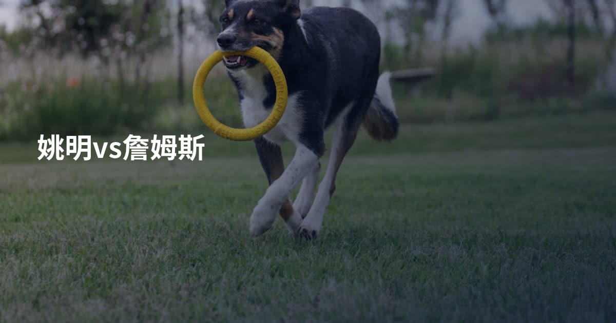 姚明vs詹姆斯