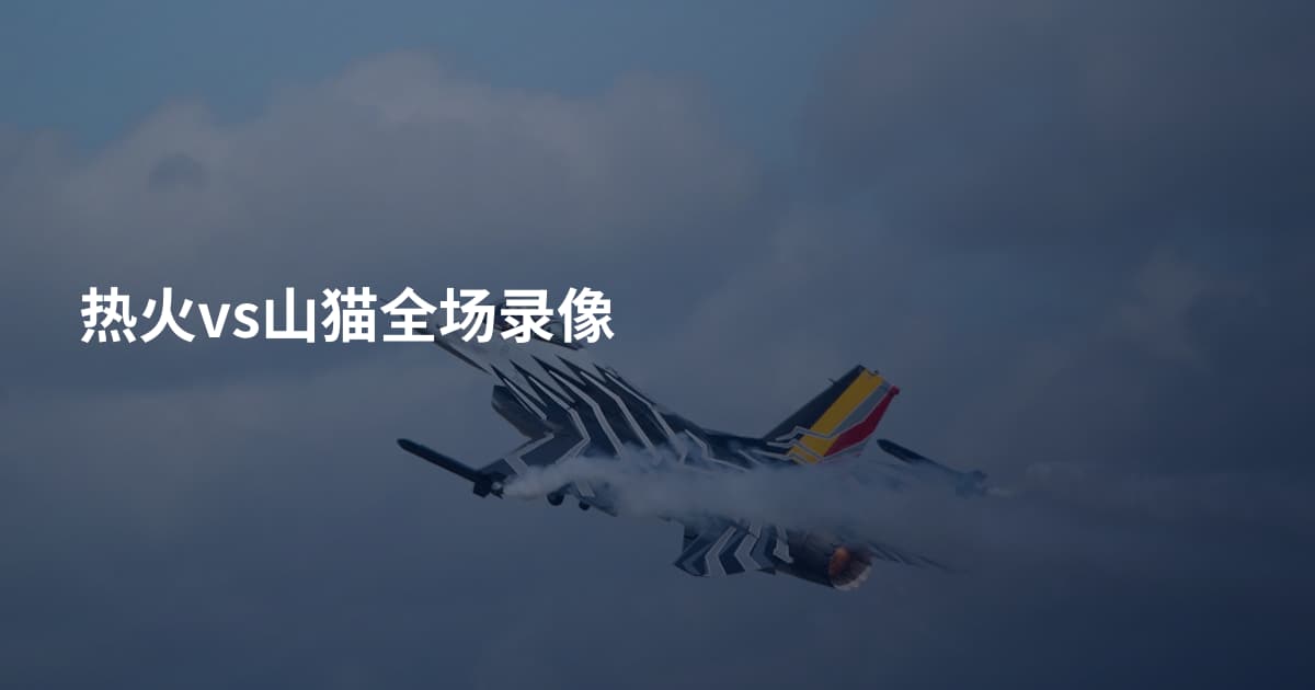 热火vs山猫全场录像