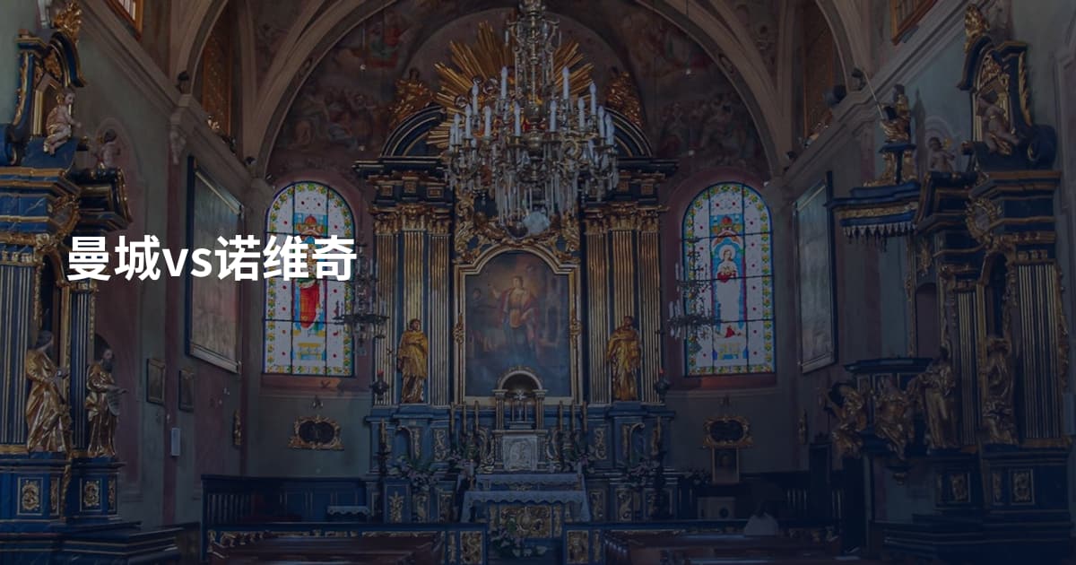 曼城vs诺维奇
