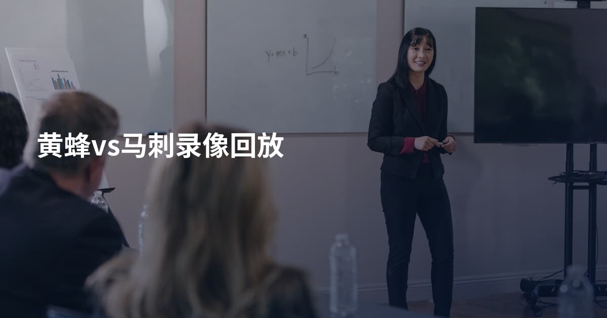 黄蜂vs马刺录像回放