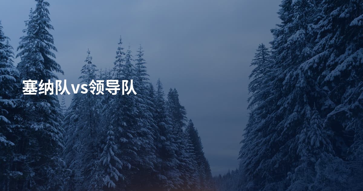塞纳队vs领导队