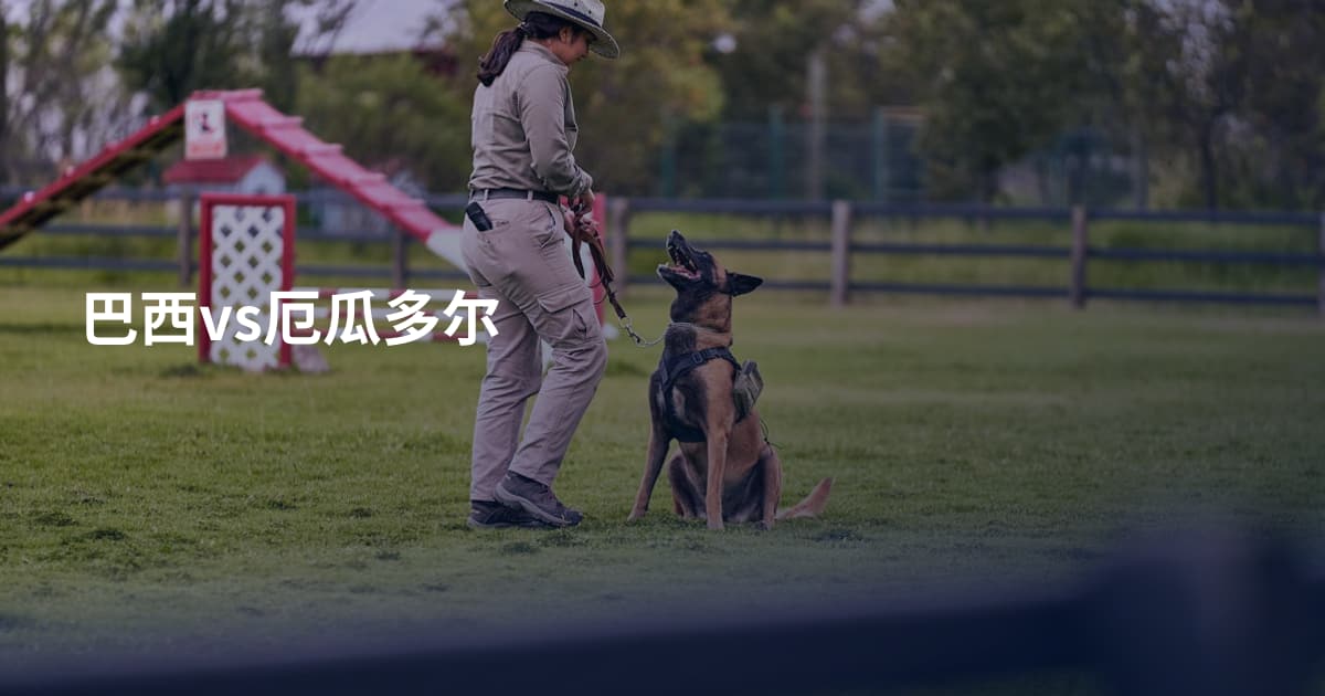 巴西vs厄瓜多尔