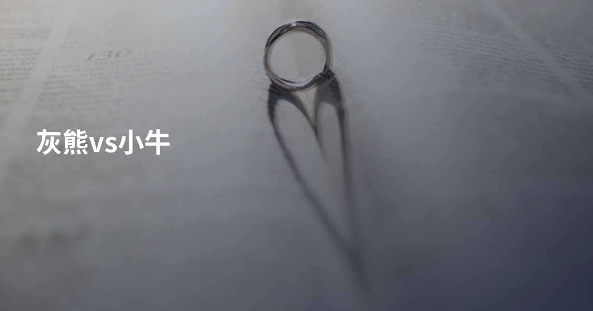 灰熊vs小牛