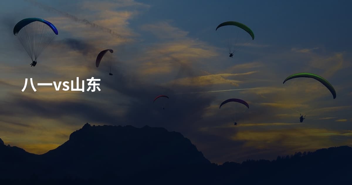 八一vs山东