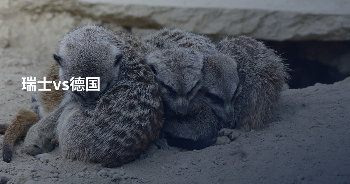 瑞士vs德国