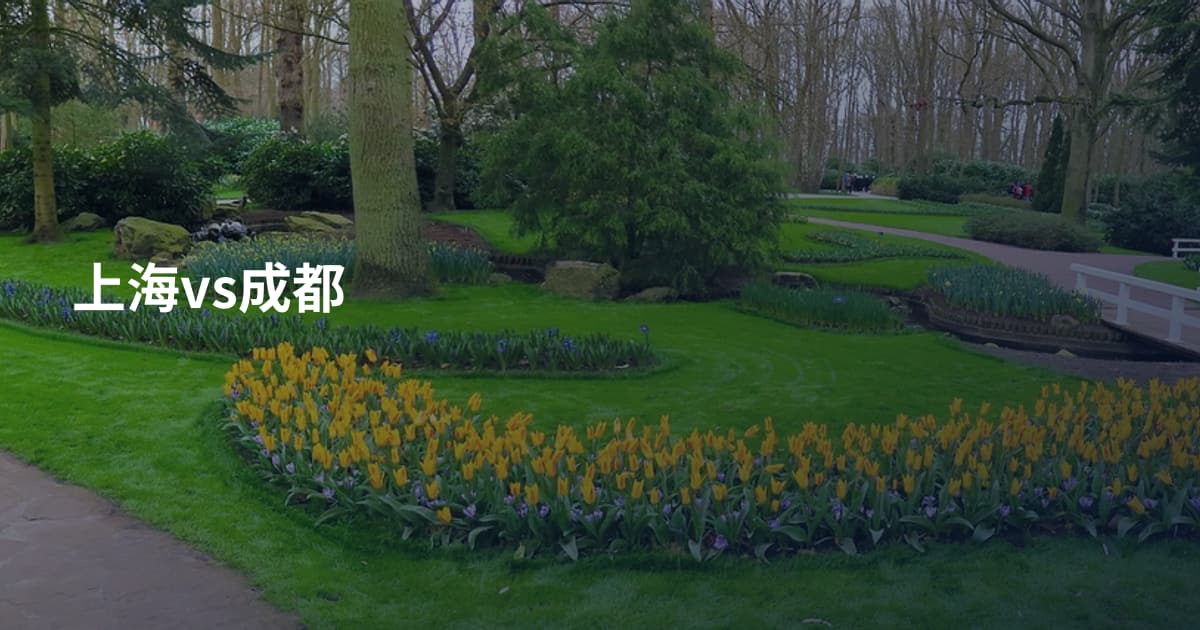 上海vs成都