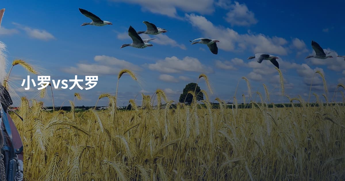 小罗vs大罗