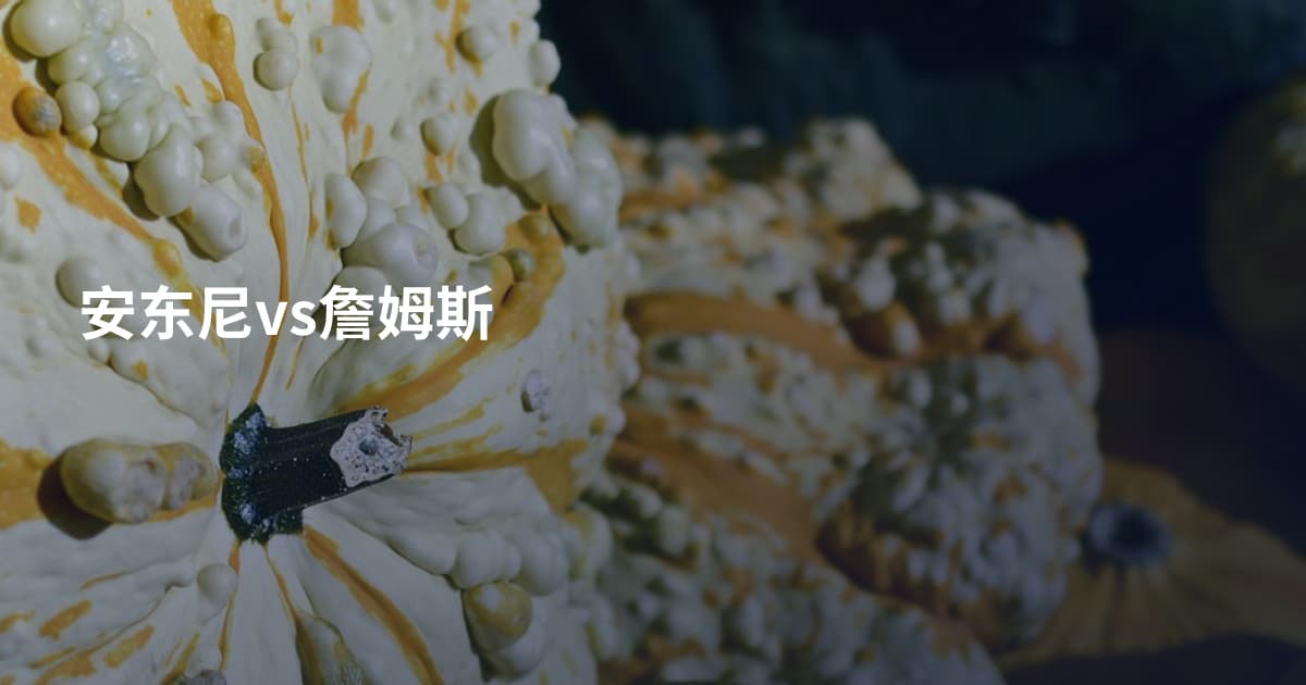 安东尼vs詹姆斯