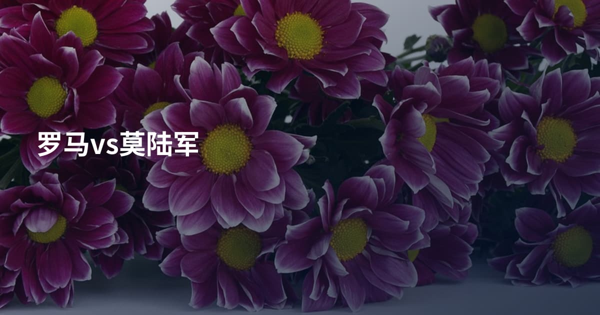 罗马vs莫陆军