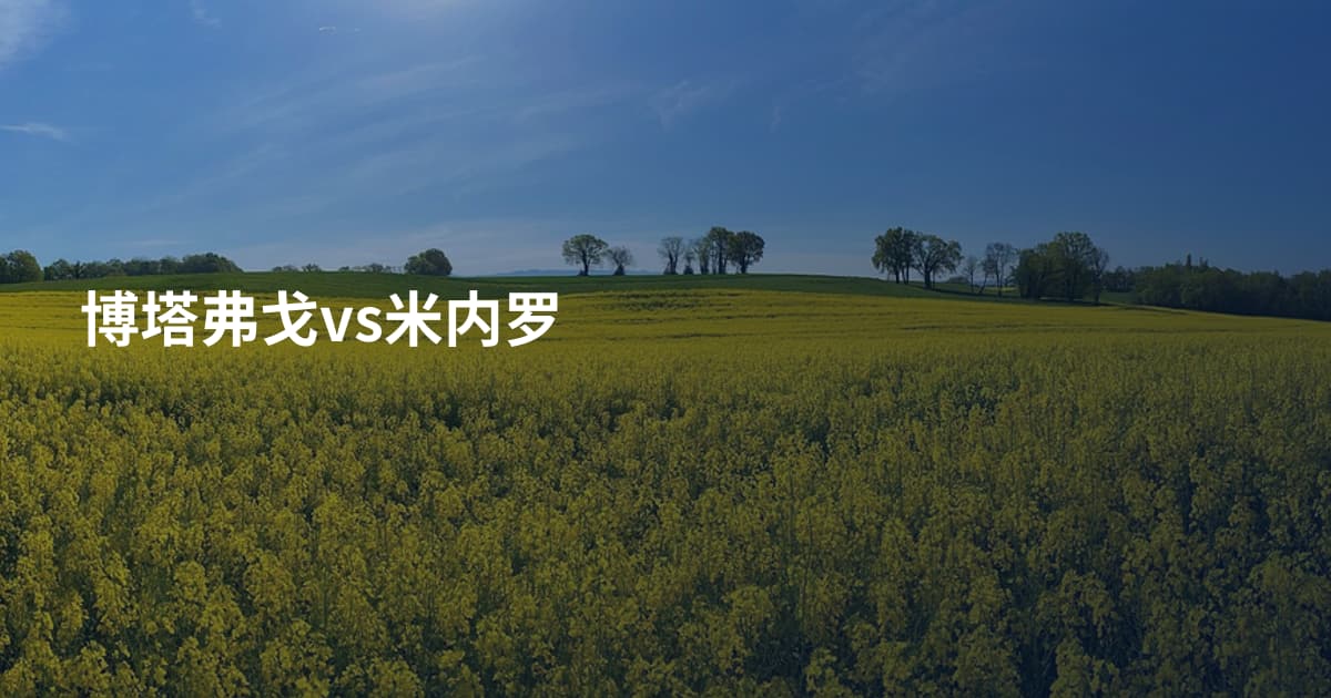 博塔弗戈vs米内罗
