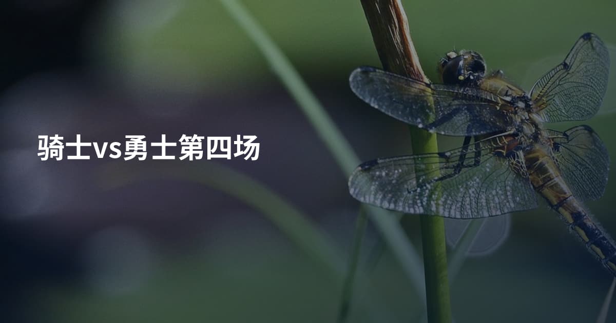 骑士vs勇士第四场