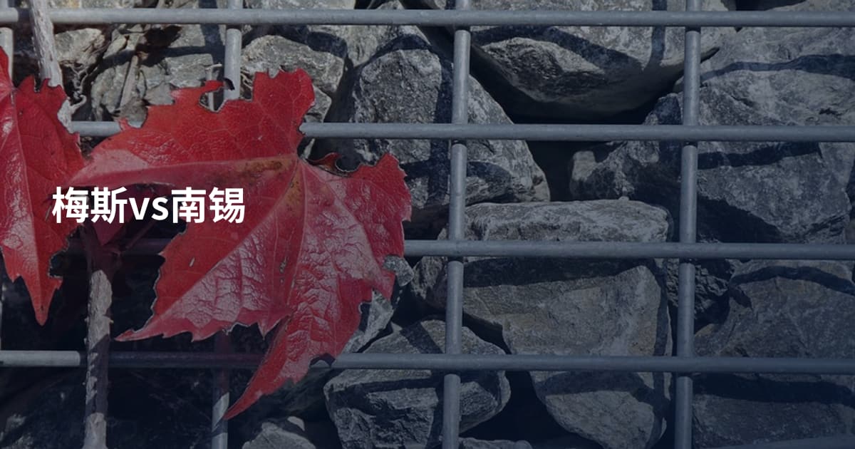 梅斯vs南锡