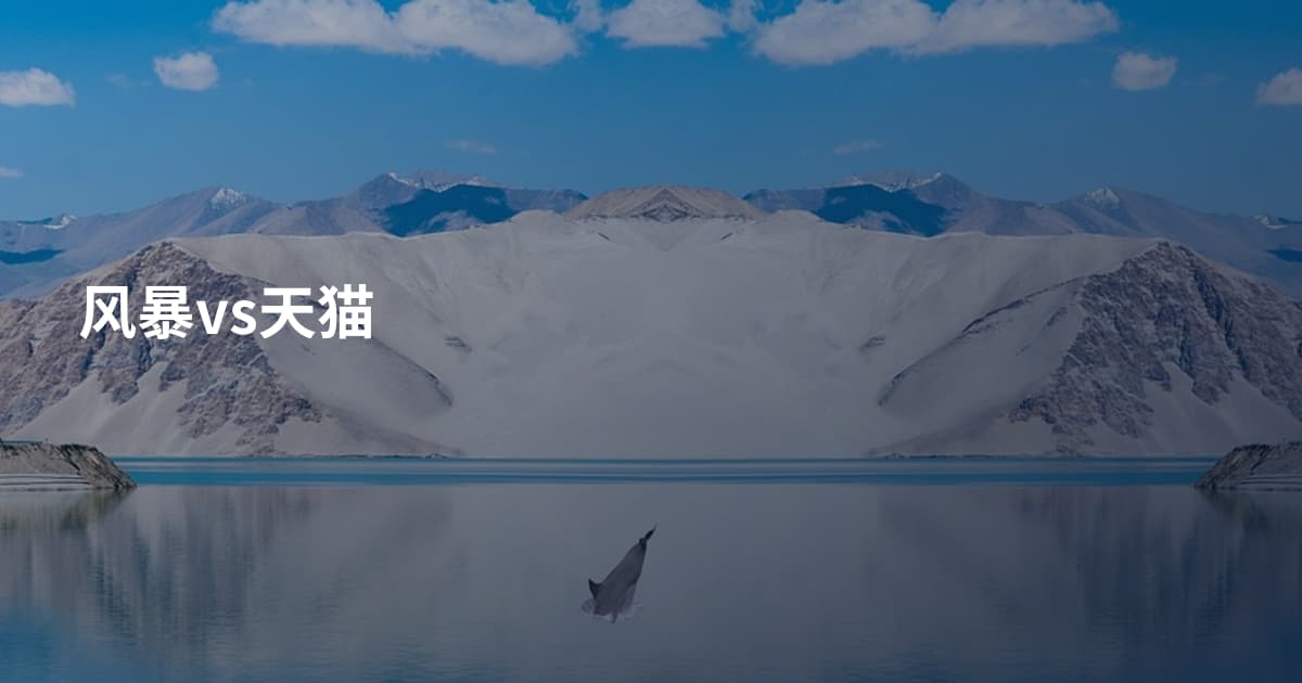风暴vs天猫