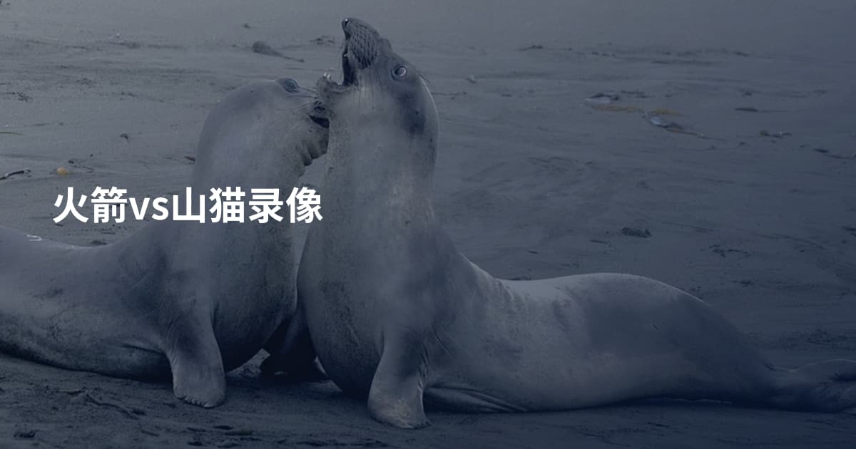 火箭vs山猫录像